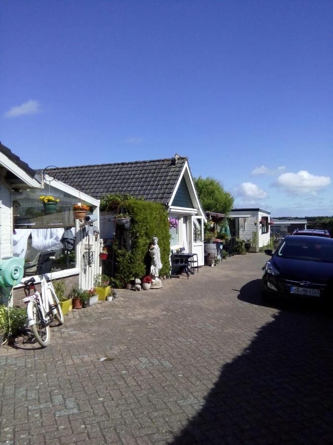 De Vlinder Renesse Villa Exterior foto